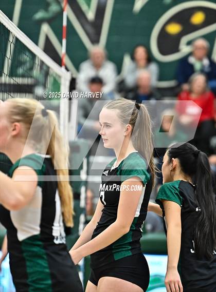 Thumbnail 2 in Pomona @ D'Evelyn photogallery.