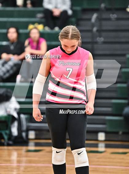 Thumbnail 3 in Pomona @ D'Evelyn photogallery.