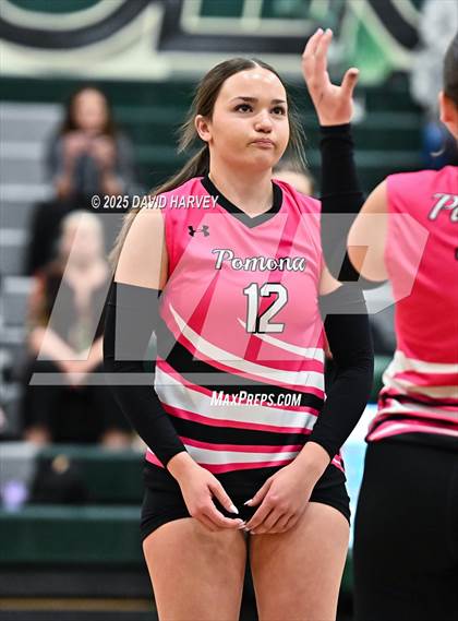 Thumbnail 3 in Pomona @ D'Evelyn photogallery.