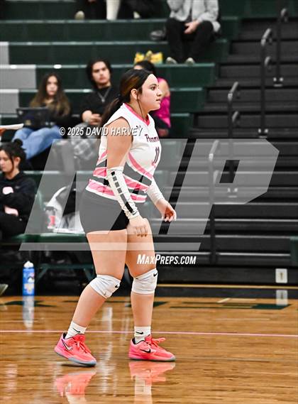 Thumbnail 3 in Pomona @ D'Evelyn photogallery.