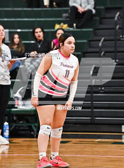 Thumbnail 3 in Pomona @ D'Evelyn photogallery.