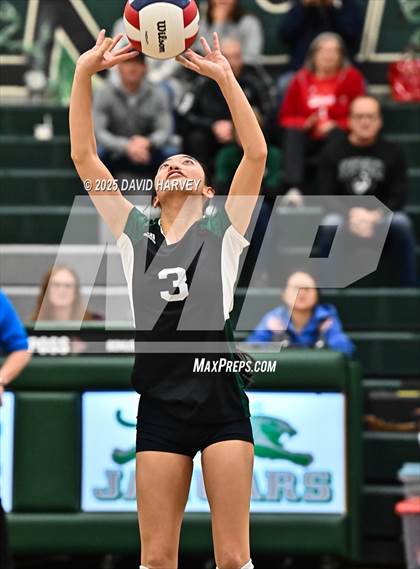 Thumbnail 1 in Pomona @ D'Evelyn photogallery.