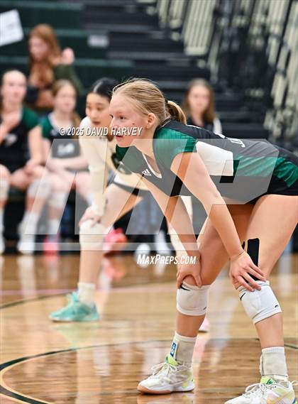 Thumbnail 3 in Pomona @ D'Evelyn photogallery.