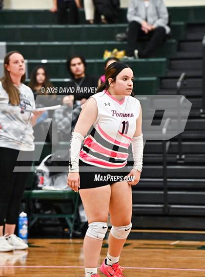 Thumbnail 2 in Pomona @ D'Evelyn photogallery.