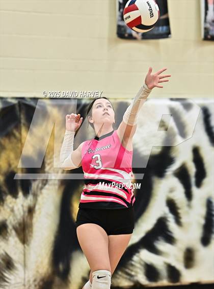 Thumbnail 1 in Pomona @ D'Evelyn photogallery.