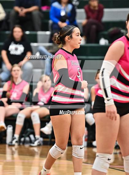 Thumbnail 2 in Pomona @ D'Evelyn photogallery.