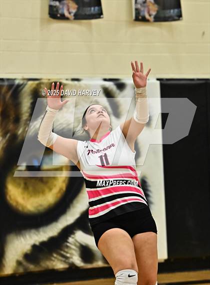 Thumbnail 2 in Pomona @ D'Evelyn photogallery.