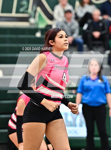 Thumbnail 2 in Pomona @ D'Evelyn photogallery.