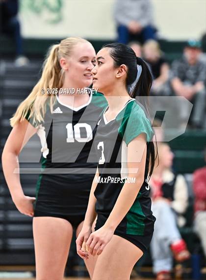 Thumbnail 3 in Pomona @ D'Evelyn photogallery.