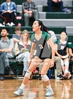 Photo from the gallery "Pomona @ D'Evelyn"