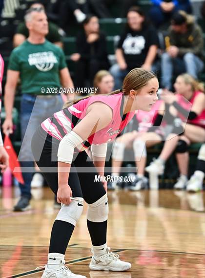 Thumbnail 1 in Pomona @ D'Evelyn photogallery.