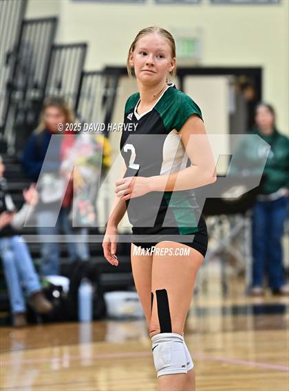 Thumbnail 3 in Pomona @ D'Evelyn photogallery.