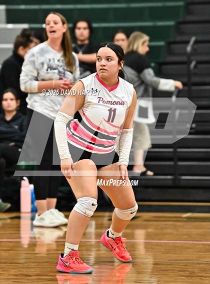 Thumbnail 3 in Pomona @ D'Evelyn photogallery.