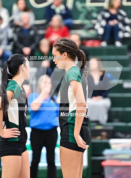 Thumbnail 2 in Pomona @ D'Evelyn photogallery.