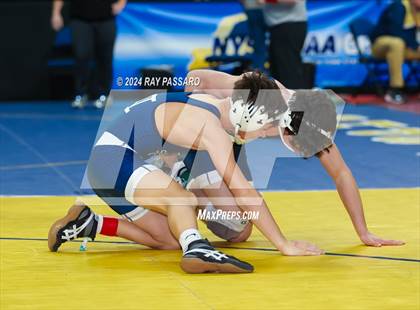 Thumbnail 2 in NYSPHSAA Wrestling Championships - Quarter Finals 101 lbs - 131 lbs photogallery.