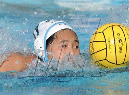 Thumbnail 2 in Irvine vs Corona del Mar photogallery.