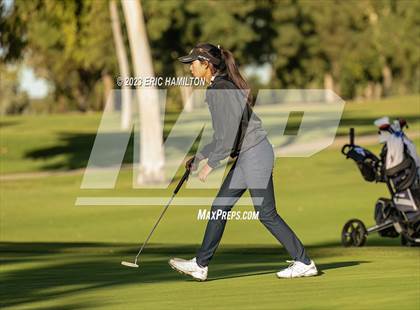 Thumbnail 3 in Girls Golf (CIF SS Regional Championship) photogallery.