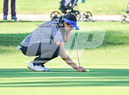Thumbnail 2 in Girls Golf (CIF SS Regional Championship) photogallery.