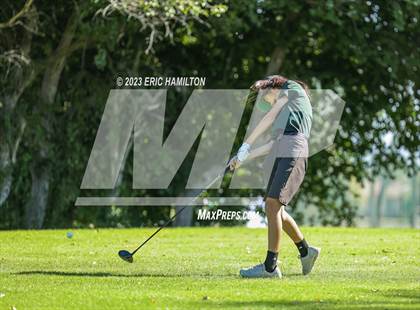 Thumbnail 1 in Girls Golf (CIF SS Regional Championship) photogallery.
