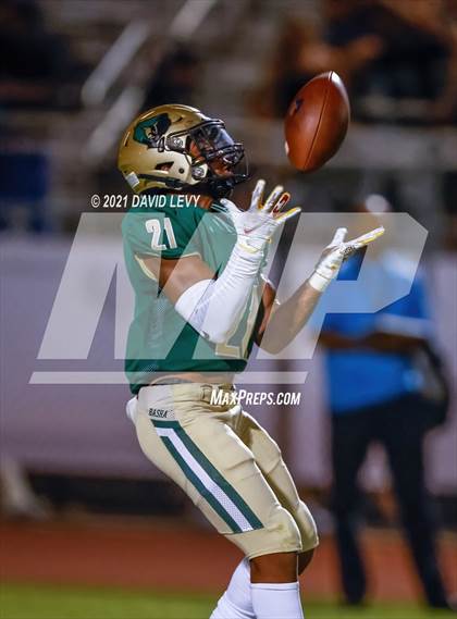 Thumbnail 1 in O'Connor @ Basha photogallery.