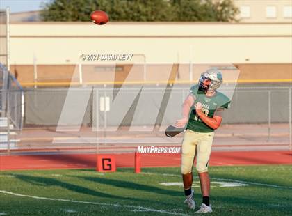 Thumbnail 1 in O'Connor @ Basha photogallery.