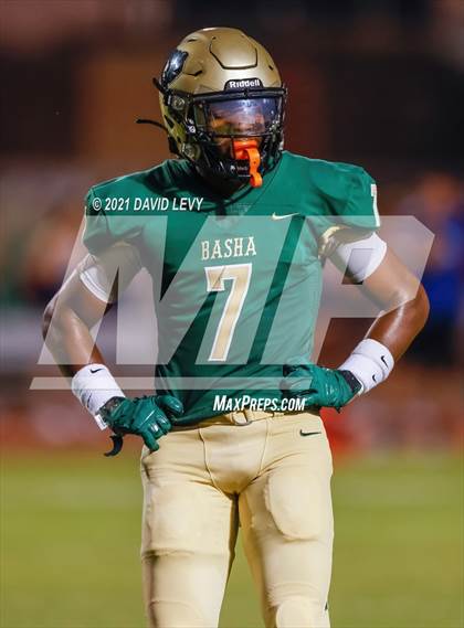 Thumbnail 3 in O'Connor @ Basha photogallery.