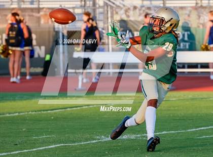Thumbnail 3 in O'Connor @ Basha photogallery.