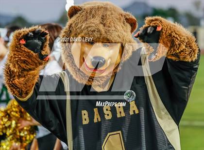 Thumbnail 1 in O'Connor @ Basha photogallery.