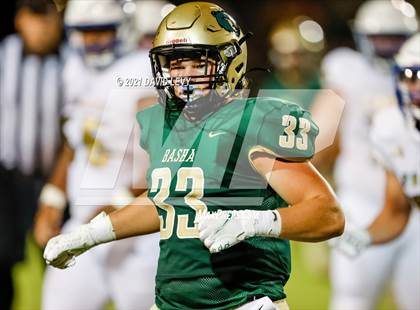 Thumbnail 1 in O'Connor @ Basha photogallery.