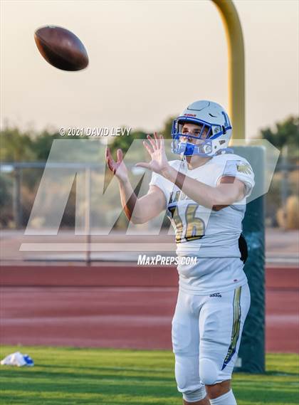 Thumbnail 2 in O'Connor @ Basha photogallery.