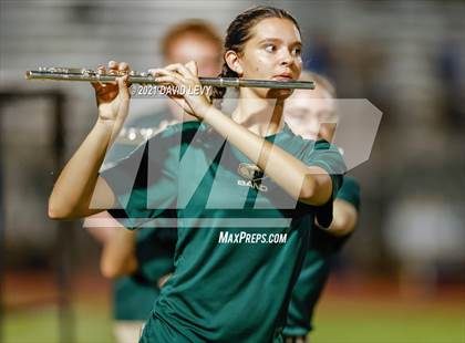 Thumbnail 1 in O'Connor @ Basha photogallery.