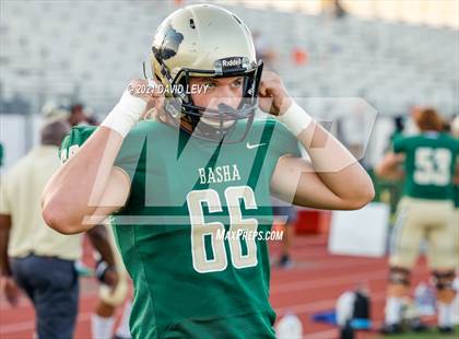 Thumbnail 1 in O'Connor @ Basha photogallery.