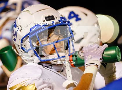 Thumbnail 2 in O'Connor @ Basha photogallery.
