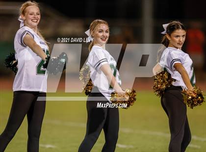 Thumbnail 3 in O'Connor @ Basha photogallery.