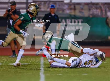 Thumbnail 2 in O'Connor @ Basha photogallery.
