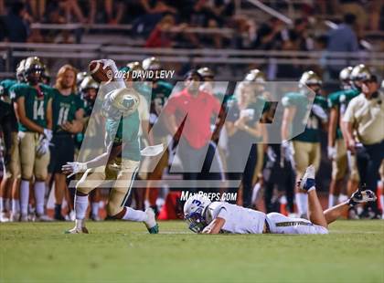 Thumbnail 1 in O'Connor @ Basha photogallery.