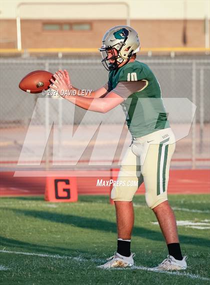 Thumbnail 3 in O'Connor @ Basha photogallery.