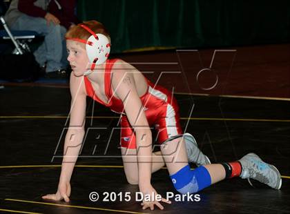 Thumbnail 1 in NYSPHSAA Championships (Division 2 Semifinals) photogallery.