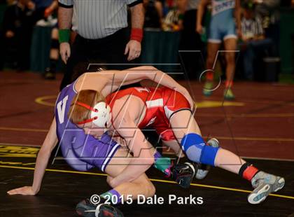 Thumbnail 3 in NYSPHSAA Championships (Division 2 Semifinals) photogallery.
