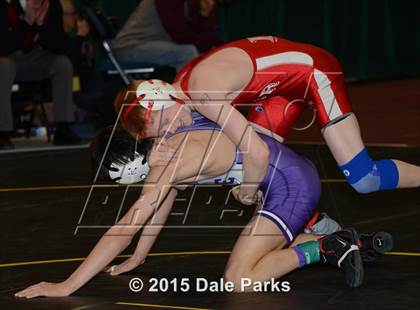 Thumbnail 3 in NYSPHSAA Championships (Division 2 Semifinals) photogallery.