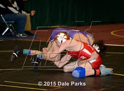 Thumbnail 2 in NYSPHSAA Championships (Division 2 Semifinals) photogallery.