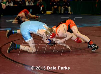 Thumbnail 2 in NYSPHSAA Championships (Division 2 Semifinals) photogallery.