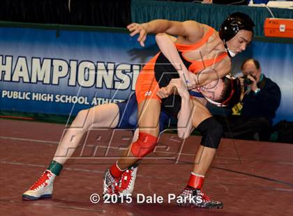 Thumbnail 3 in NYSPHSAA Championships (Division 2 Semifinals) photogallery.