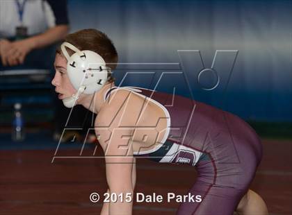 Thumbnail 2 in NYSPHSAA Championships (Division 2 Semifinals) photogallery.