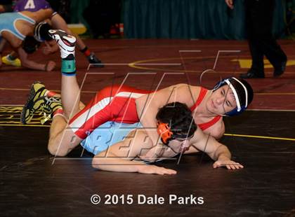 Thumbnail 3 in NYSPHSAA Championships (Division 2 Semifinals) photogallery.