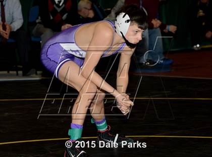 Thumbnail 1 in NYSPHSAA Championships (Division 2 Semifinals) photogallery.