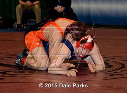 Thumbnail 2 in NYSPHSAA Championships (Division 2 Semifinals) photogallery.