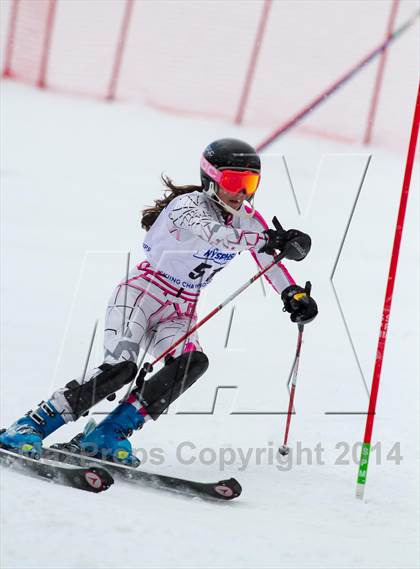 Thumbnail 1 in NYSPHSAA Alpine Championships (Girls Slalom) photogallery.