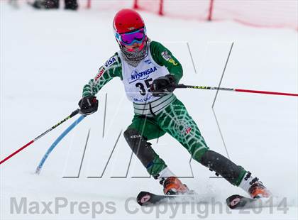 Thumbnail 1 in NYSPHSAA Alpine Championships (Girls Slalom) photogallery.