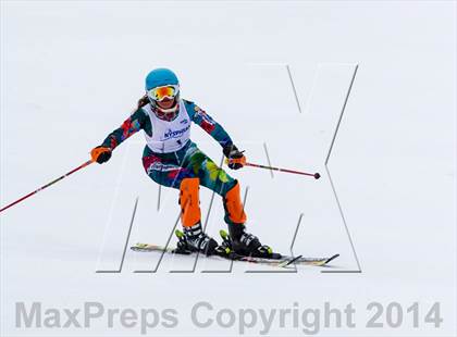Thumbnail 2 in NYSPHSAA Alpine Championships (Girls Slalom) photogallery.